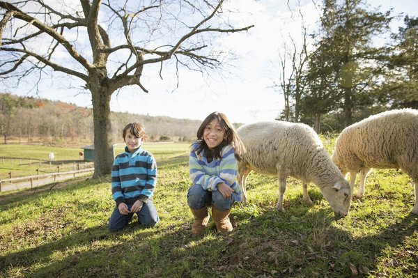 Découvrez les vêtements stitch en promo pour toute la famille